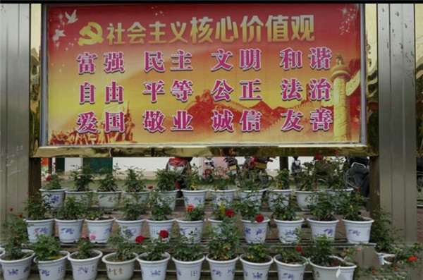 王楼镇各个学校开展“花样校园”捐花护花活动