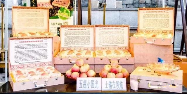 何乃华：五莲国光，我心中永远的小苹果