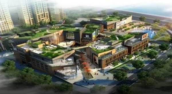 世茂集团苏沪区助理总裁胡雨波：建造