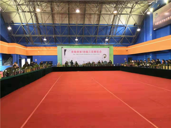 余姚市第十八届兰花展览会 - 记铜奖得主邹长根