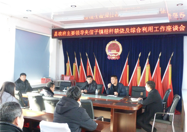 宝清县委副书记、县长徐斌义深入夹信子镇座谈 - 秸秆禁烧及综合利用工作