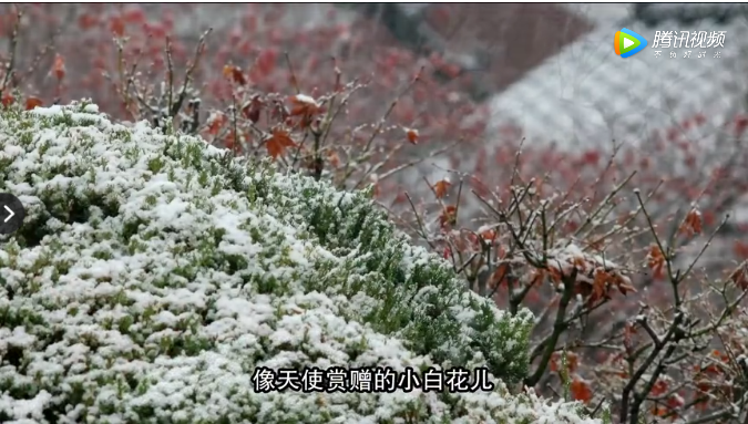 2020年的第一场雪