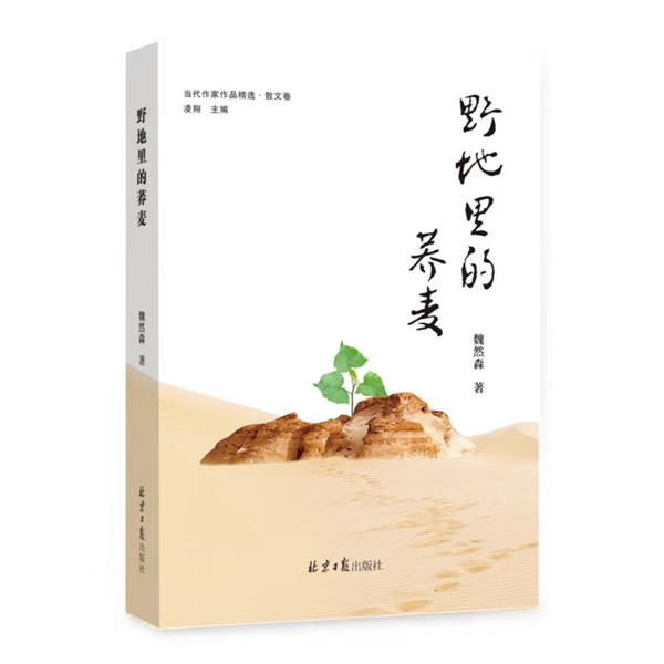 探寻生命与文学交织的旅程