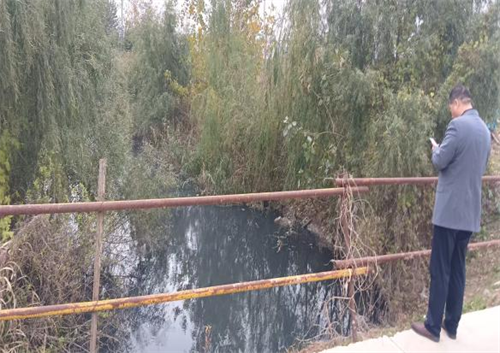 淮城街道闸口村：整治焕新颜 增绿惠民生