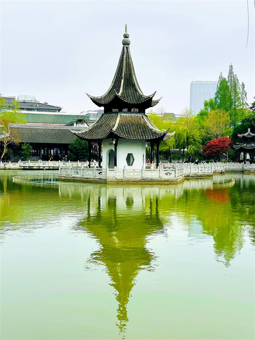 微信图片_20260513161141_25_61.jpg